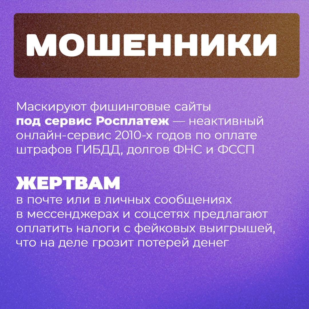 5253644386795906081.jpg